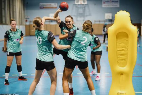 爬藤名校推荐的体育项目